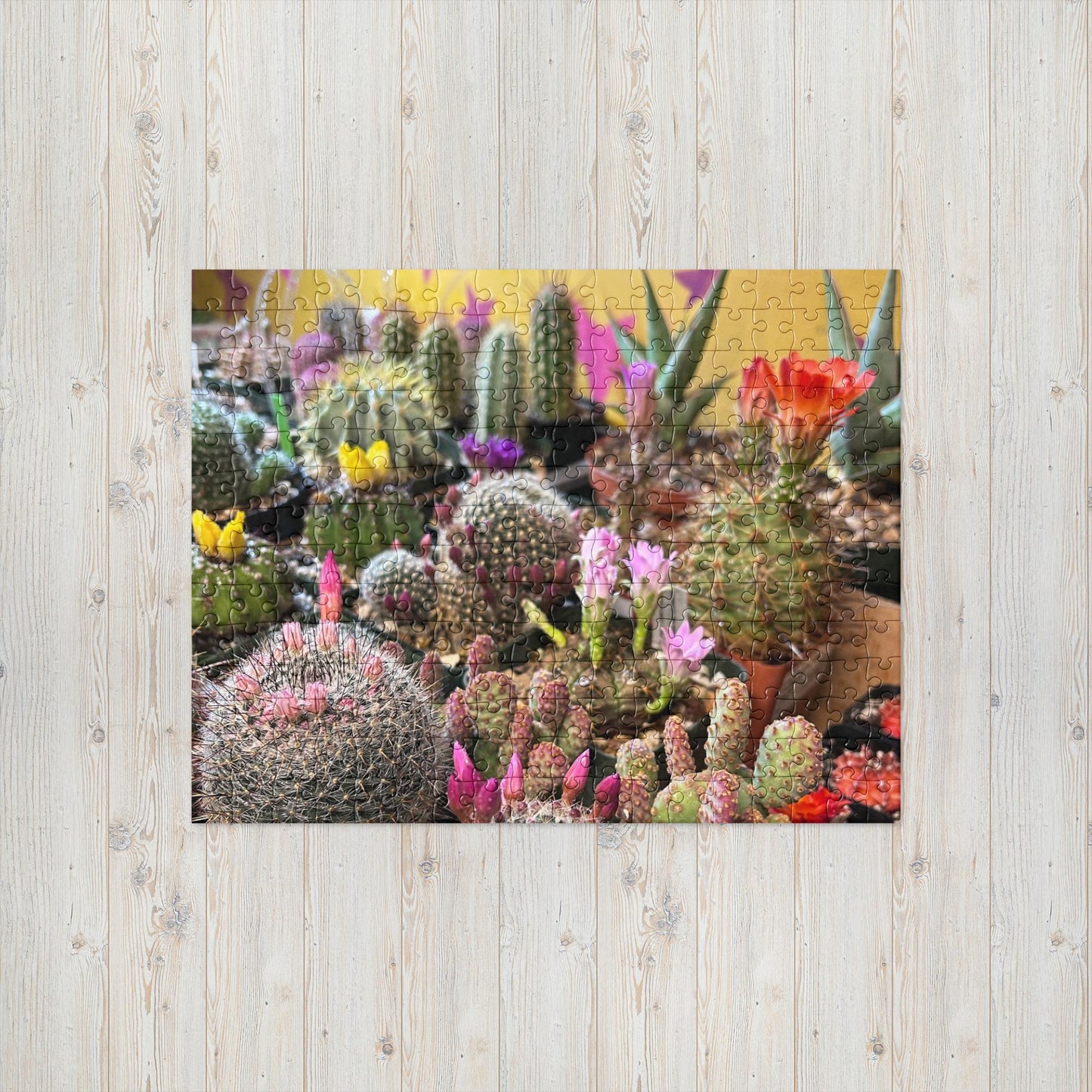 Colorful Cactus Jigsaw puzzle